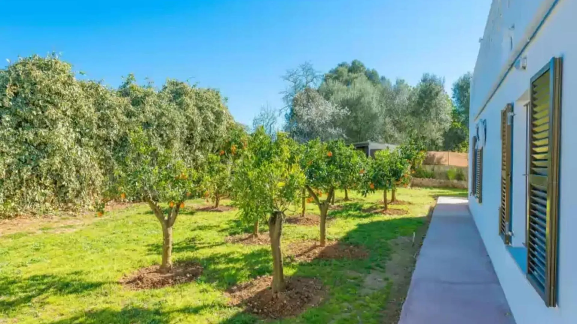 Country House In Llucmajor