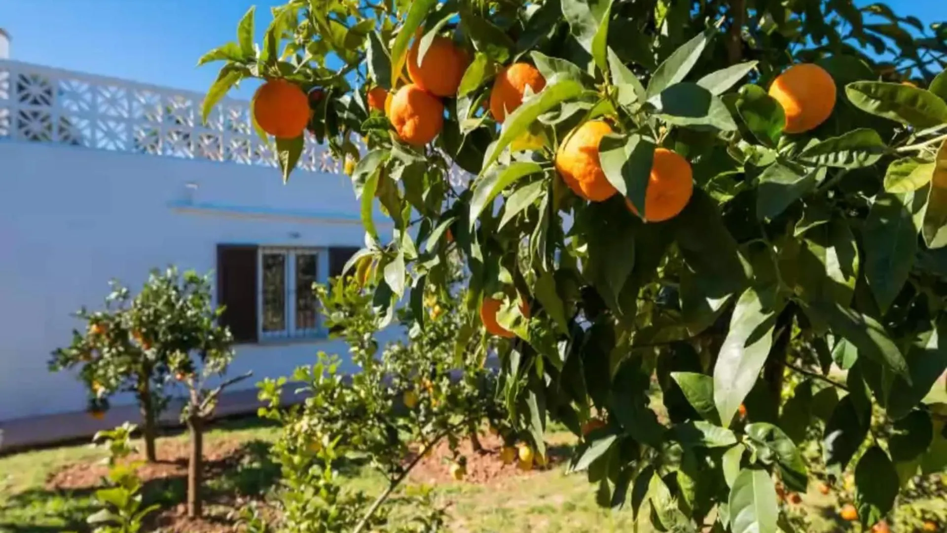 Country House In Llucmajor 0*, Llucmajor (Mallorca) Spain